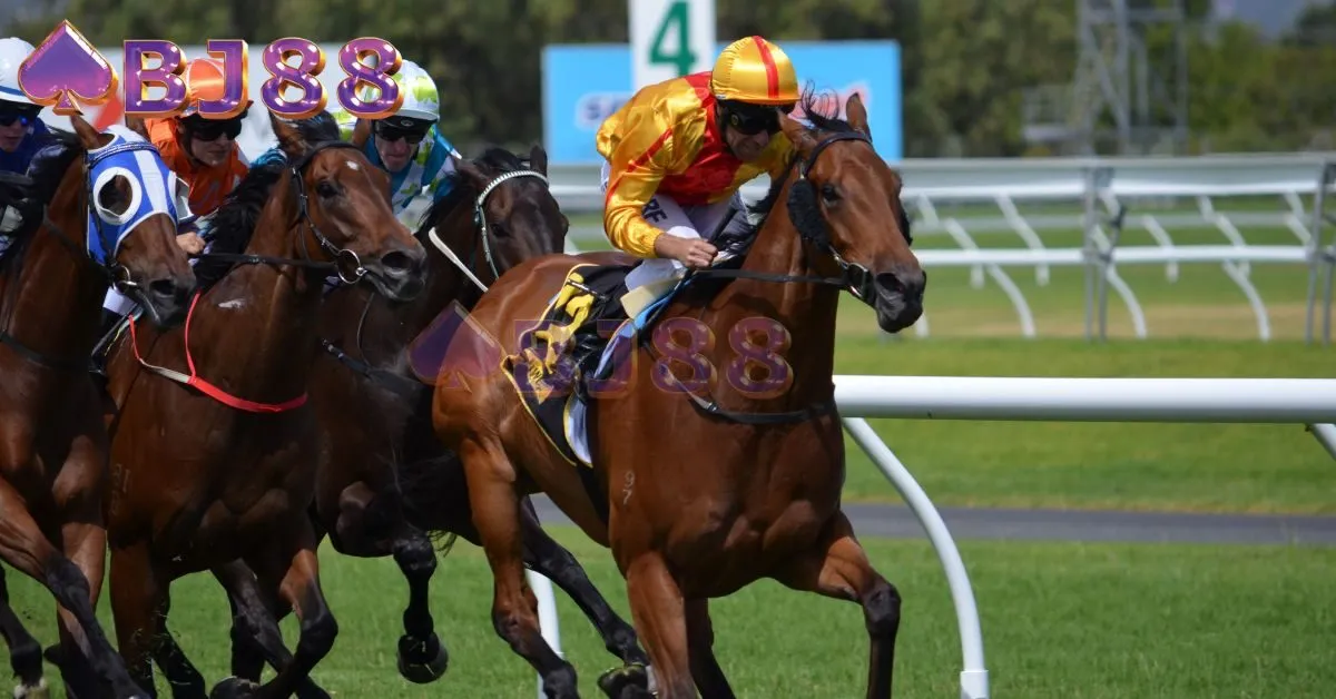 Bí quyết cá cược đua ngựa cho người mới bắt đầu tại bj88