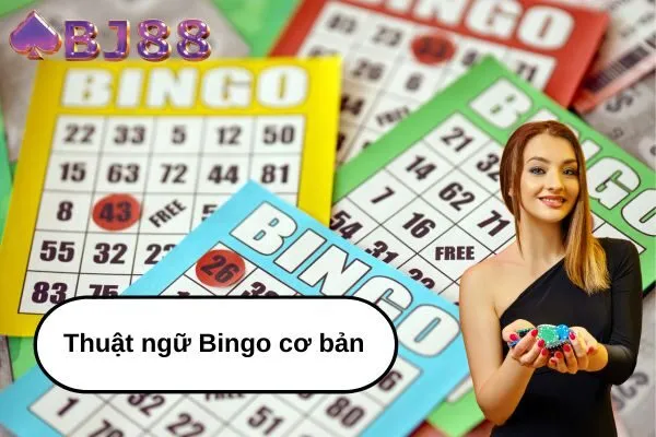 Các thuật ngữ Bingo cơ bản bạn cần biết cùng bj88