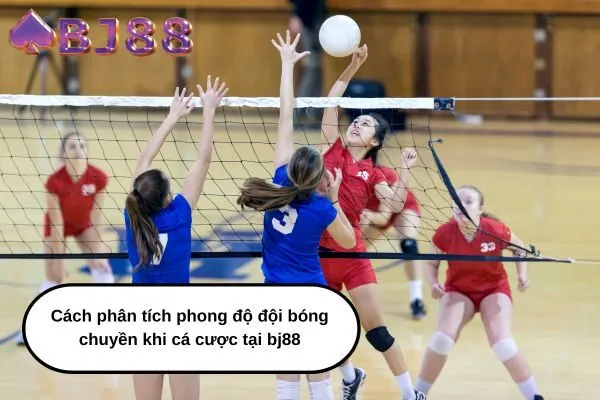Cách phân tích phong độ đội bóng chuyền khi cá cược tại bj88
