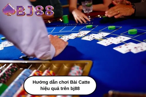 Hướng dẫn chơi Bài Catte hiệu quả trên bj88 - Luật chơi và cách chơi cơ bản